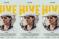Hive Filmplakat